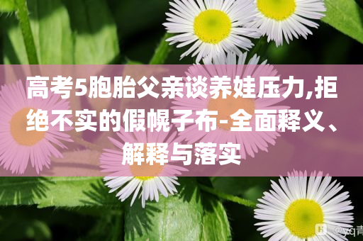 高考5胞胎父親談養(yǎng)娃壓力,拒絕不實(shí)的假幌子布-全面釋義、解釋與落實(shí)