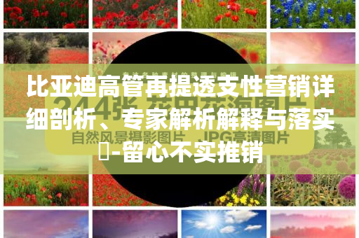 比亞迪高管再提透支性營銷詳細剖析、專家解析解釋與落實?-留心不實推銷