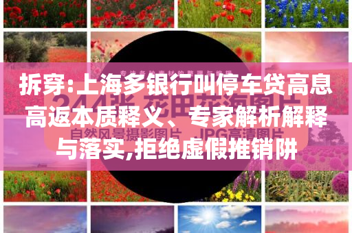 拆穿:上海多銀行叫停車貸高息高返本質(zhì)釋義、專家解析解釋與落實,拒絕虛假推銷阱