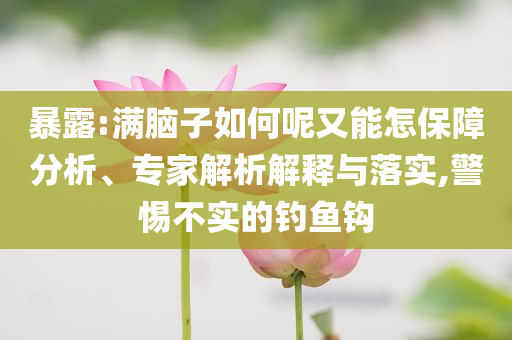 暴露:滿腦子如何呢又能怎保障分析、專家解析解釋與落實,警惕不實的釣魚鉤
