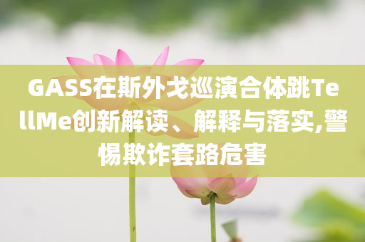 GASS在斯外戈巡演合體跳TellMe創(chuàng)新解讀、解釋與落實(shí),警惕欺詐套路危害