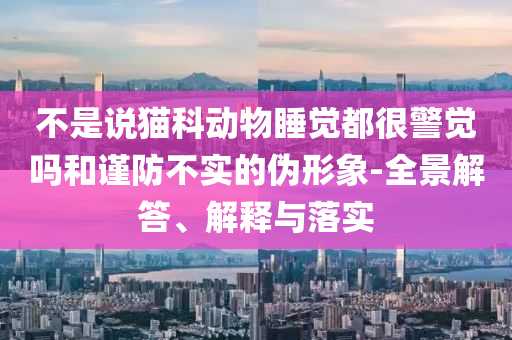 不是說貓科動物睡覺都很警覺嗎和謹防不實的偽形象-全景解答、解釋與落實