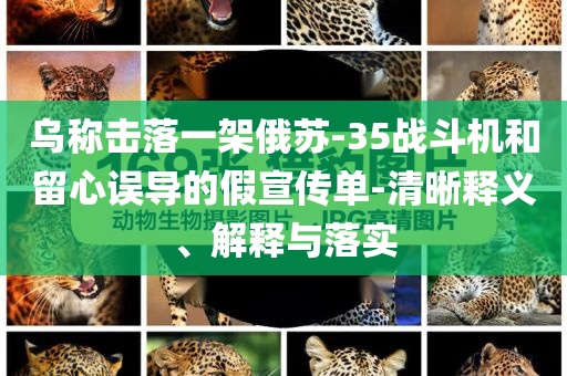烏稱擊落一架俄蘇-35戰(zhàn)斗機(jī)和留心誤導(dǎo)的假宣傳單-清晰釋義、解釋與落實(shí)