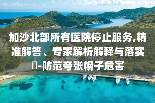加沙北部所有醫(yī)院停止服務(wù),精準(zhǔn)解答、專家解析解釋與落實(shí)?-防范夸張幌子危害