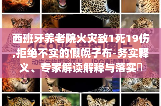 西班牙養(yǎng)老院火災(zāi)致1死19傷,拒絕不實(shí)的假幌子布-務(wù)實(shí)釋義、專家解讀解釋與落實(shí)?