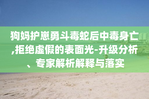 狗媽護(hù)崽勇斗毒蛇后中毒身亡,拒絕虛假的表面光-升級分析、專家解析解釋與落實(shí)