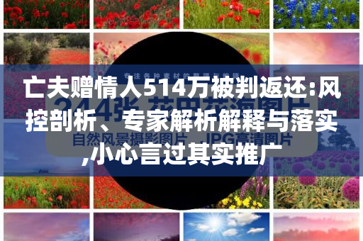 亡夫贈情人514萬被判返還:風控剖析、專家解析解釋與落實,小心言過其實推廣
