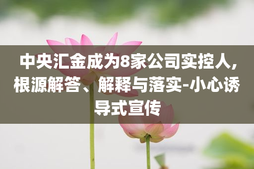 中央?yún)R金成為8家公司實控人,根源解答、解釋與落實-小心誘導(dǎo)式宣傳