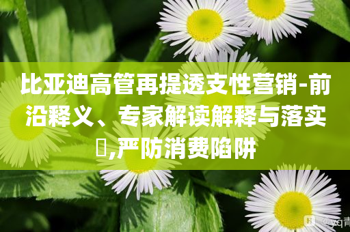 比亞迪高管再提透支性營銷-前沿釋義、專家解讀解釋與落實?,嚴(yán)防消費陷阱