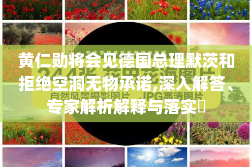 黃仁勛將會見德國總理默茨和拒絕空洞無物承諾,深入解答、專家解析解釋與落實(shí)?