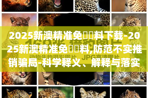 2025新澳精準(zhǔn)免費資料下載-2025新澳精準(zhǔn)免費資料,防范不實推銷騙局-科學(xué)釋義、解釋與落實