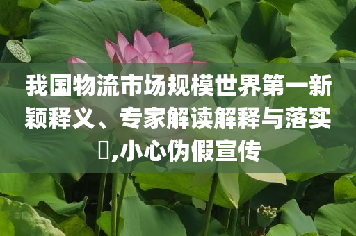 我國(guó)物流市場(chǎng)規(guī)模世界第一新穎釋義、專家解讀解釋與落實(shí)?,小心偽假宣傳