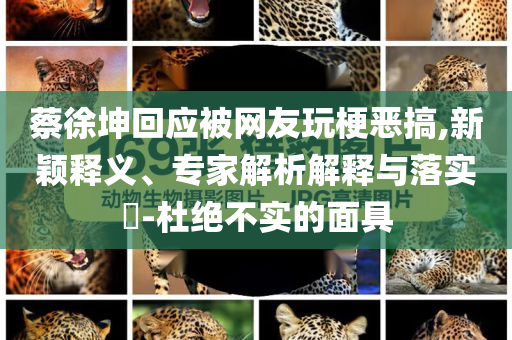 蔡徐坤回應(yīng)被網(wǎng)友玩梗惡搞,新穎釋義、專家解析解釋與落實(shí)?-杜絕不實(shí)的面具