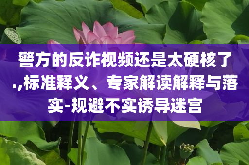 警方的反詐視頻還是太硬核了.,標(biāo)準(zhǔn)釋義、專(zhuān)家解讀解釋與落實(shí)-規(guī)避不實(shí)誘導(dǎo)迷宮