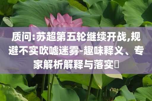 質(zhì)問(wèn):蘇超第五輪繼續(xù)開(kāi)戰(zhàn),規(guī)避不實(shí)吹噓迷霧-趣味釋義、專家解析解釋與落實(shí)?
