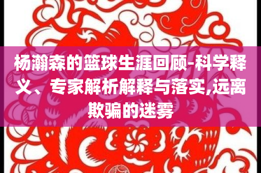 楊瀚森的籃球生涯回顧-科學(xué)釋義、專家解析解釋與落實(shí),遠(yuǎn)離欺騙的迷霧