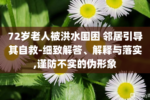 72歲老人被洪水圍困 鄰居引導(dǎo)其自救-細致解答、解釋與落實,謹防不實的偽形象