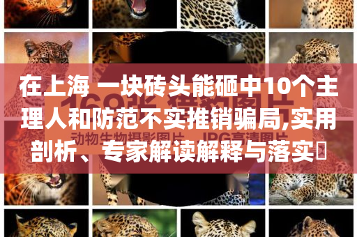 在上海 一塊磚頭能砸中10個主理人和防范不實推銷騙局,實用剖析、專家解讀解釋與落實?
