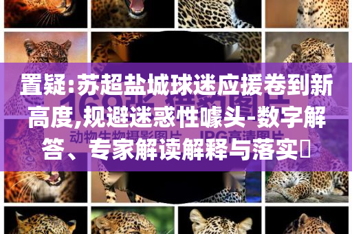 置疑:蘇超鹽城球迷應(yīng)援卷到新高度,規(guī)避迷惑性噱頭-數(shù)字解答、專家解讀解釋與落實(shí)?