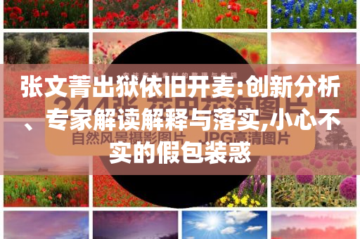 張文菁出獄依舊開麥:創(chuàng)新分析、專家解讀解釋與落實(shí),小心不實(shí)的假包裝惑