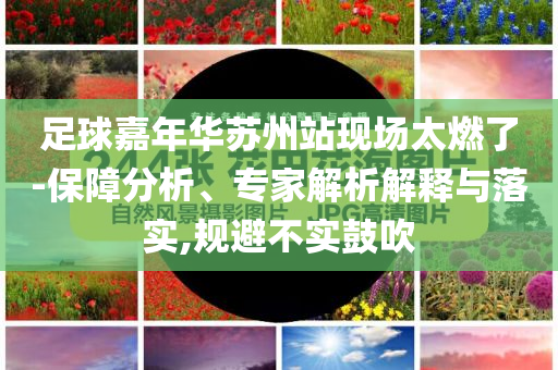 足球嘉年華蘇州站現(xiàn)場太燃了-保障分析、專家解析解釋與落實,規(guī)避不實鼓吹