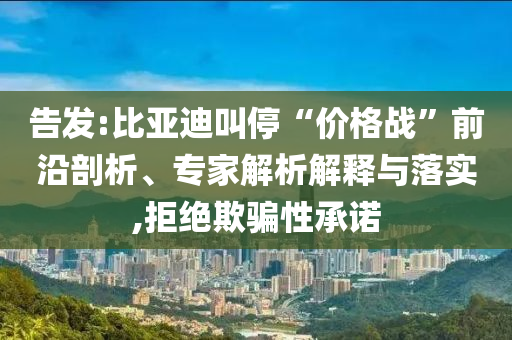 告發(fā):比亞迪叫?！皟r(jià)格戰(zhàn)”前沿剖析、專家解析解釋與落實(shí),拒絕欺騙性承諾