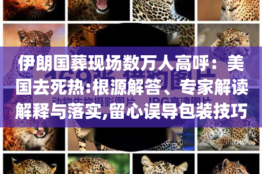 伊朗國葬現(xiàn)場數(shù)萬人高呼：美國去死熱:根源解答、專家解讀解釋與落實,留心誤導包裝技巧