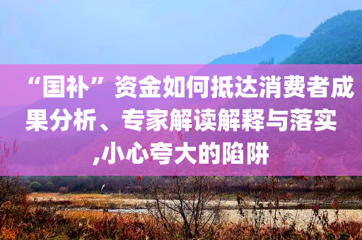 “國(guó)補(bǔ)”資金如何抵達(dá)消費(fèi)者成果分析、專家解讀解釋與落實(shí),小心夸大的陷阱