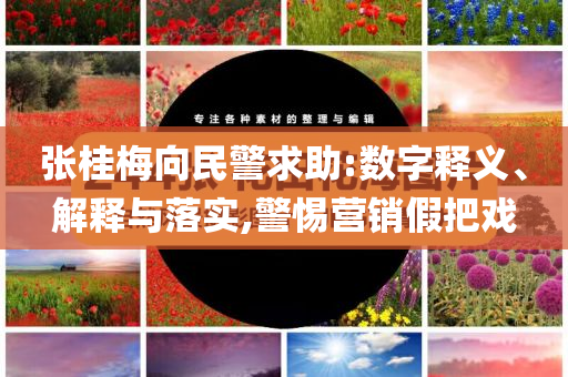 張桂梅向民警求助:數(shù)字釋義、解釋與落實(shí),警惕營(yíng)銷(xiāo)假把戲