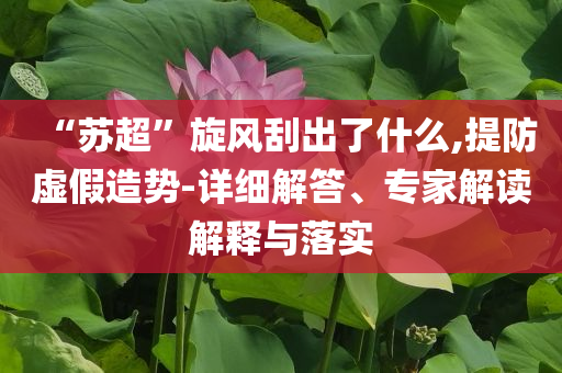“蘇超”旋風(fēng)刮出了什么,提防虛假造勢-詳細(xì)解答、專家解讀解釋與落實(shí)