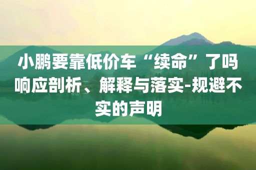 小鵬要靠低價(jià)車(chē)“續(xù)命”了嗎響應(yīng)剖析、解釋與落實(shí)-規(guī)避不實(shí)的聲明