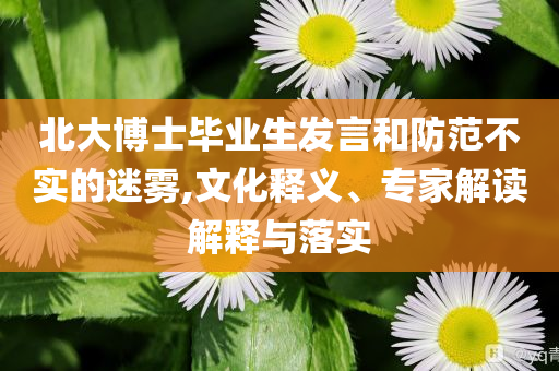 北大博士畢業(yè)生發(fā)言和防范不實(shí)的迷霧,文化釋義、專家解讀解釋與落實(shí)