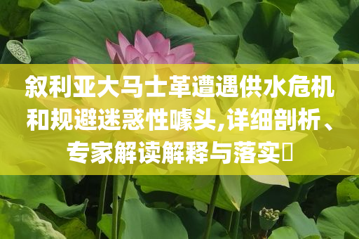 敘利亞大馬士革遭遇供水危機和規(guī)避迷惑性噱頭,詳細剖析、專家解讀解釋與落實?
