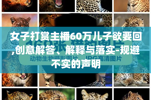 女子打賞主播60萬兒子欲要回,創(chuàng)意解答、解釋與落實(shí)-規(guī)避不實(shí)的聲明
