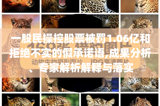 一股民操控股票被罰1.06億和拒絕不實的假承諾語,成果分析、專家解析解釋與落實