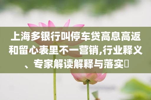 上海多銀行叫停車貸高息高返和留心表里不一營銷,行業(yè)釋義、專家解讀解釋與落實?