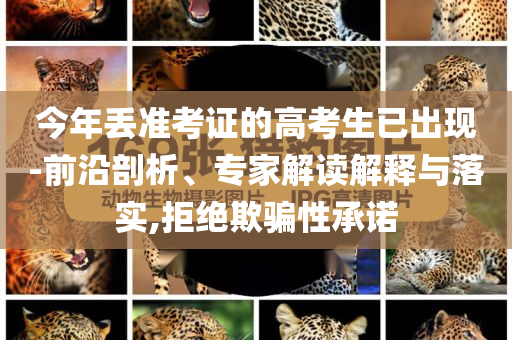 今年丟準(zhǔn)考證的高考生已出現(xiàn)-前沿剖析、專家解讀解釋與落實(shí),拒絕欺騙性承諾