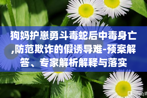 狗媽護(hù)崽勇斗毒蛇后中毒身亡,防范欺詐的假誘導(dǎo)難-預(yù)案解答、專家解析解釋與落實(shí)