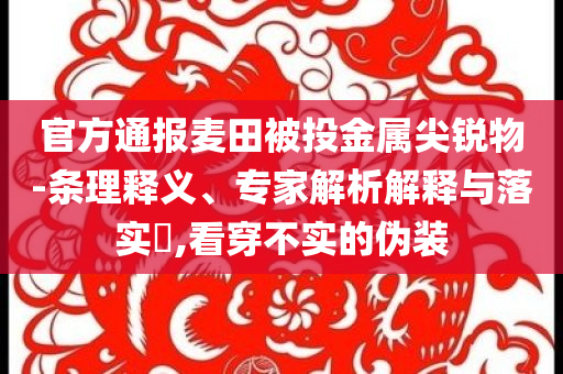 官方通報(bào)麥田被投金屬尖銳物-條理釋義、專家解析解釋與落實(shí)?,看穿不實(shí)的偽裝