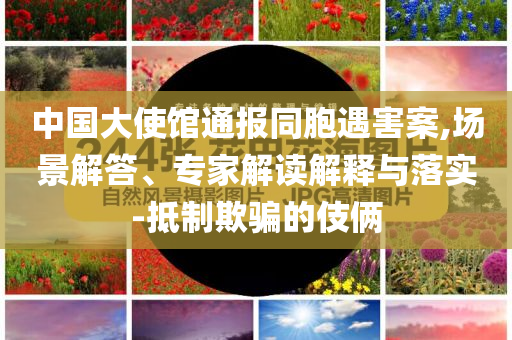 中國大使館通報同胞遇害案,場景解答、專家解讀解釋與落實-抵制欺騙的伎倆