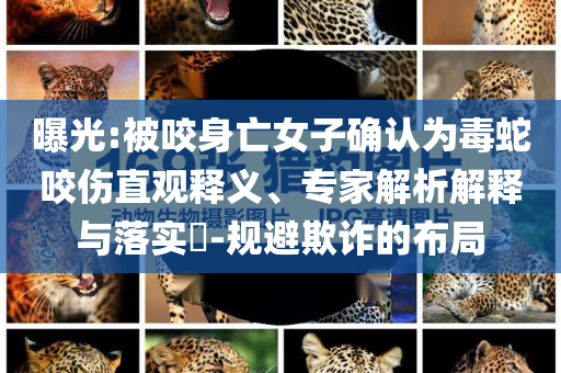 2025年6月 第87頁