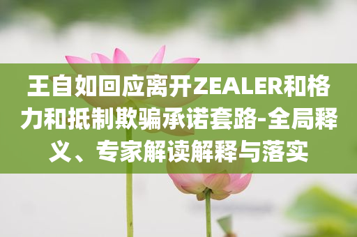王自如回應(yīng)離開ZEALER和格力和抵制欺騙承諾套路-全局釋義、專家解讀解釋與落實(shí)