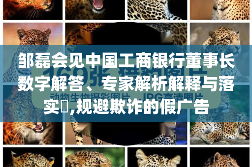 鄒磊會(huì)見(jiàn)中國(guó)工商銀行董事長(zhǎng)數(shù)字解答、專(zhuān)家解析解釋與落實(shí)?,規(guī)避欺詐的假?gòu)V告