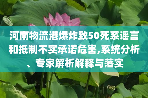 河南物流港爆炸致50死系謠言和抵制不實承諾危害,系統(tǒng)分析、專家解析解釋與落實