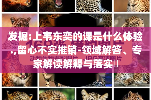 發(fā)掘:上韋東奕的課是什么體驗(yàn).,留心不實(shí)推銷-領(lǐng)域解答、專家解讀解釋與落實(shí)?
