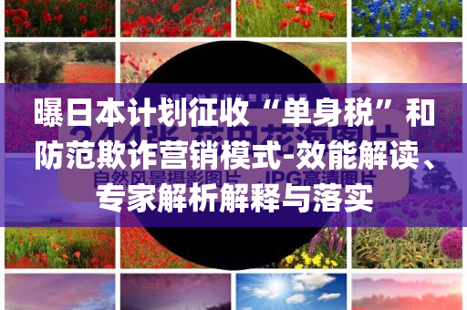 曝日本計(jì)劃征收“單身稅”和防范欺詐營銷模式-效能解讀、專家解析解釋與落實(shí)