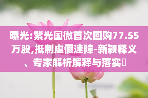 2025年6月 第78頁