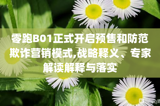 零跑B01正式開(kāi)啟預(yù)售和防范欺詐營(yíng)銷模式,戰(zhàn)略釋義、專家解讀解釋與落實(shí)