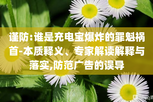 謹(jǐn)防:誰是充電寶爆炸的罪魁禍?zhǔn)?本質(zhì)釋義、專家解讀解釋與落實(shí),防范廣告的誤導(dǎo)