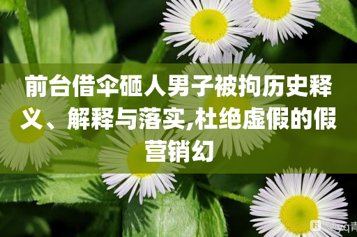 前臺借傘砸人男子被拘歷史釋義、解釋與落實(shí),杜絕虛假的假營銷幻